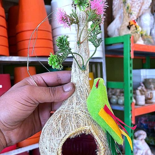 Coco Bird Nest