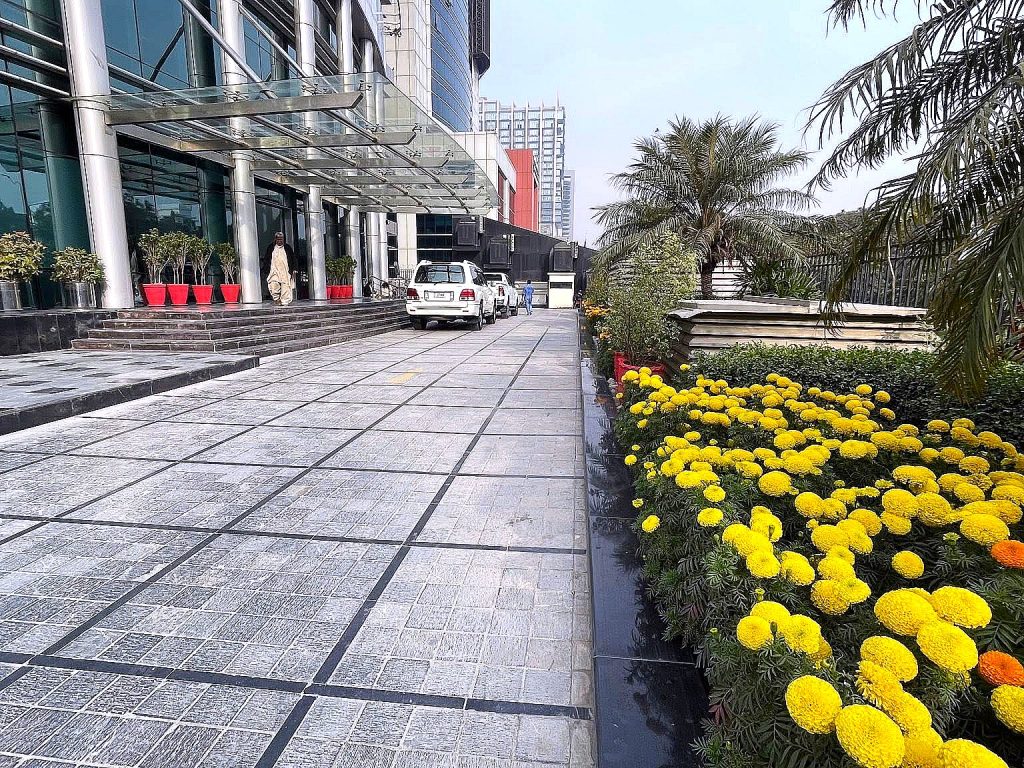 Corporate planting in Islamabad — Makkah Nursery, Islamabad