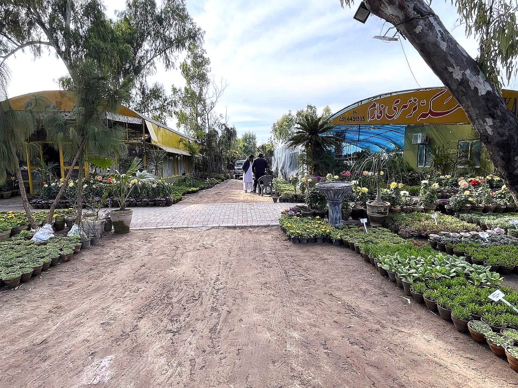 Growing rows — Makkah Nursery, Islamabad