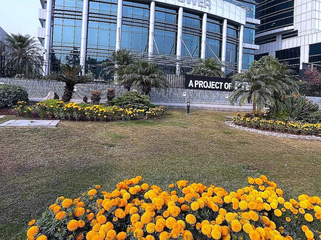 Seasonal bedding planted at an office plaza in Islamabad