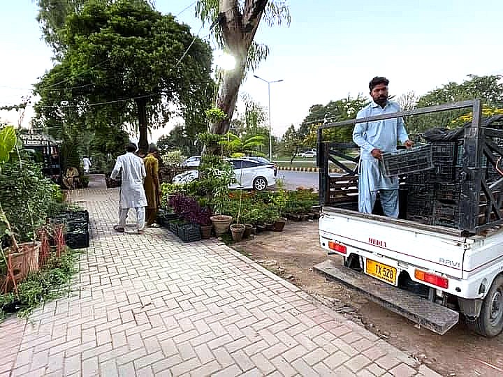 Plants being loaded onto the Makkah Nursery delivery truck