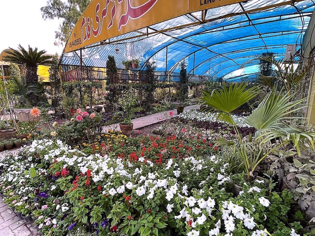 Mixed flower beds — Makkah Nursery, Islamabad