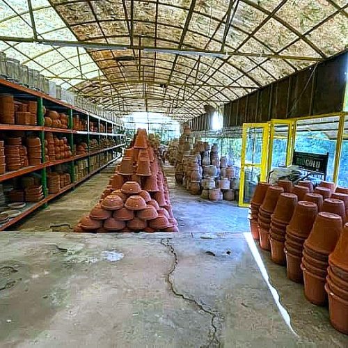 Pots & Planters