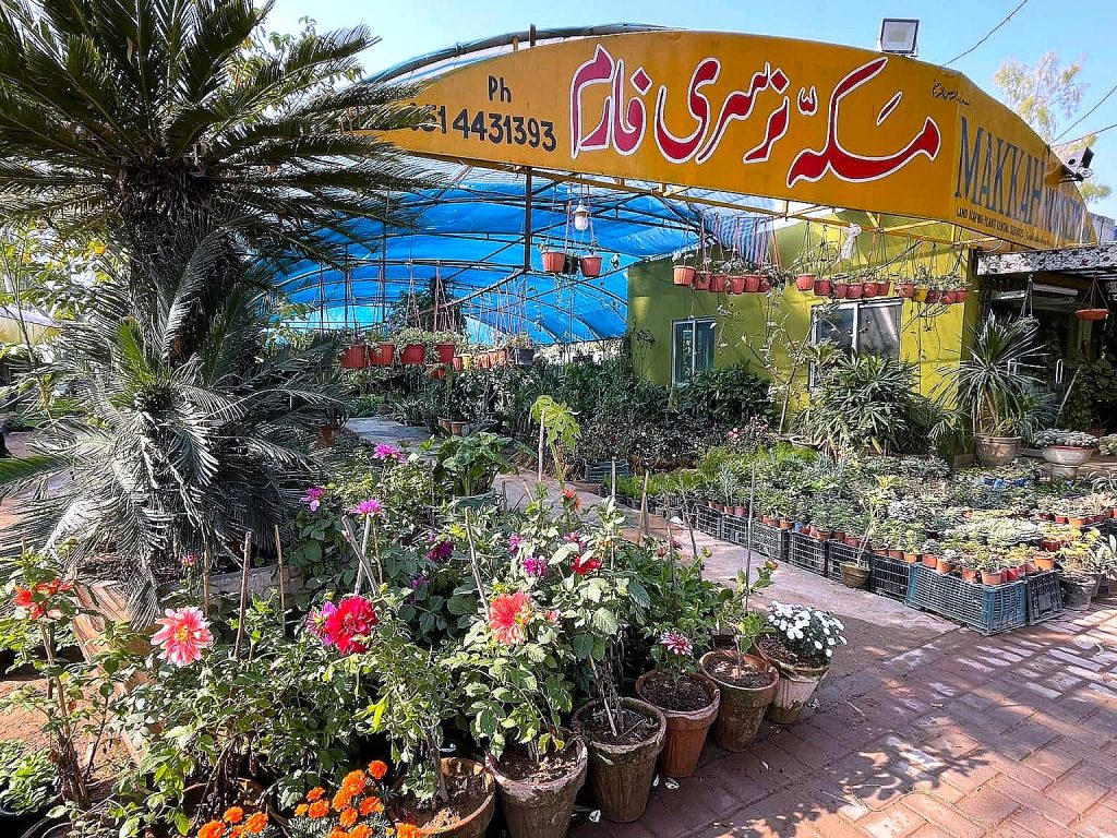 The nursery frontage — Makkah Nursery, Islamabad